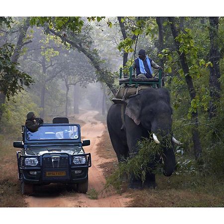 Samode Safari Lodge Parāsi Eksteriør billede