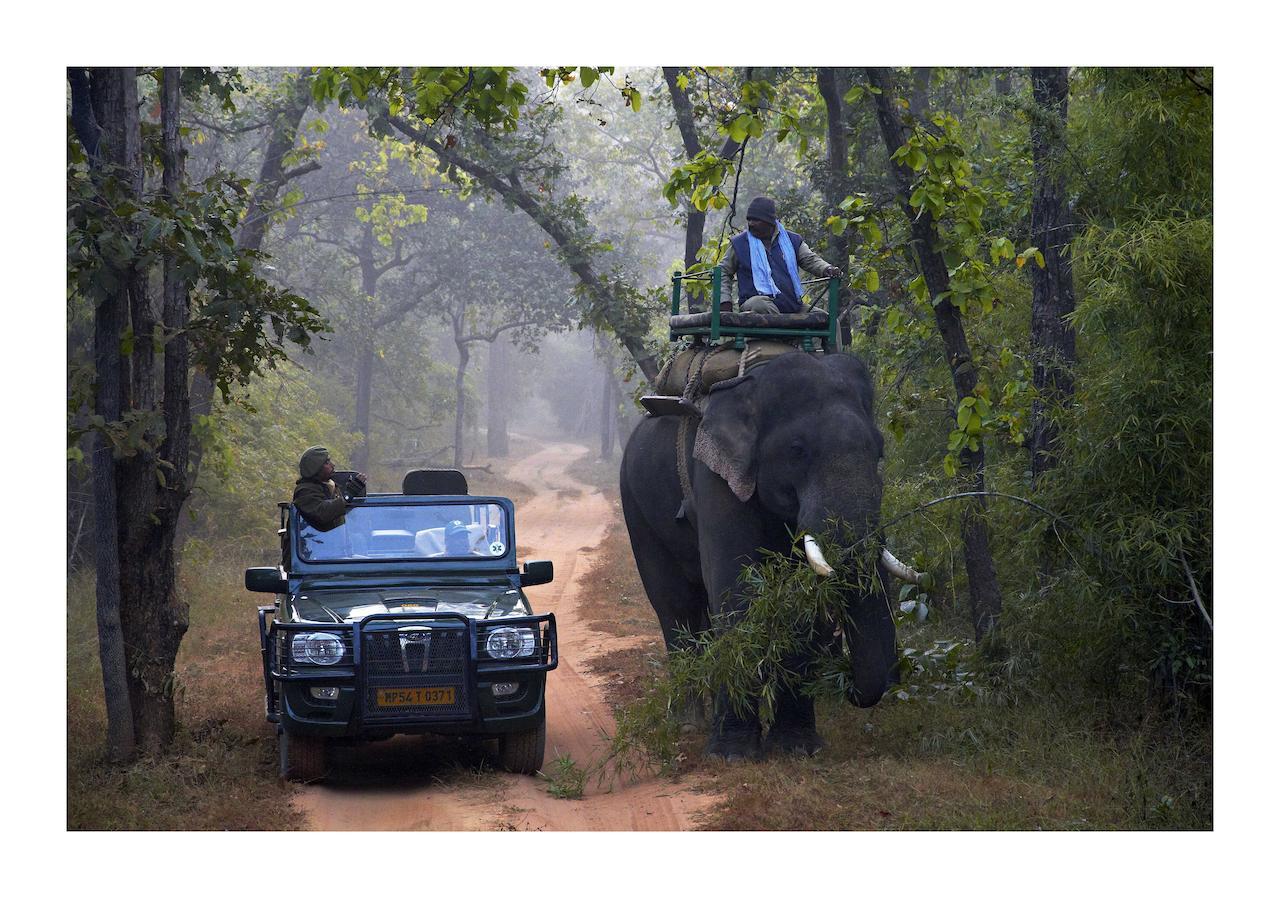 Samode Safari Lodge Parāsi Eksteriør billede