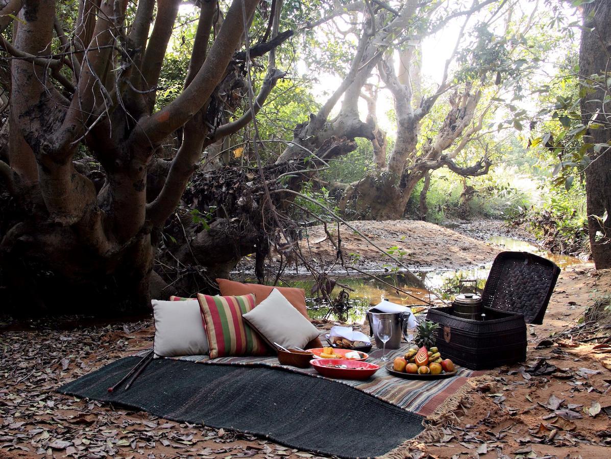 Samode Safari Lodge Parāsi Eksteriør billede